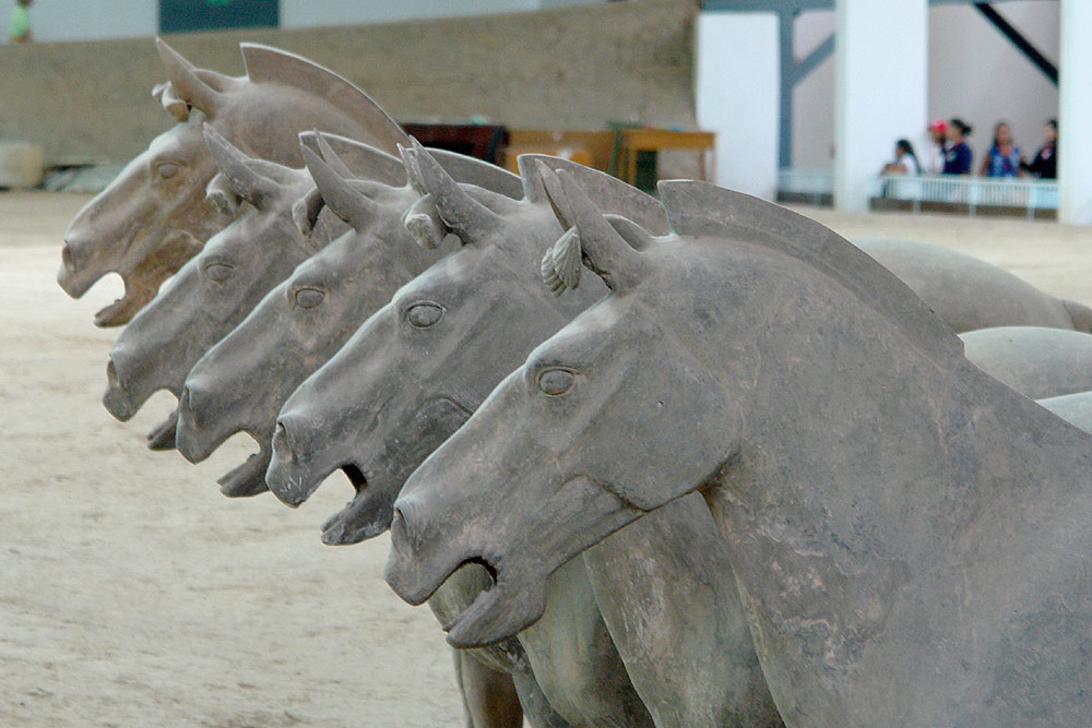 Pferde der Terracotta Armee