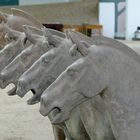 Pferde der Terracotta Armee