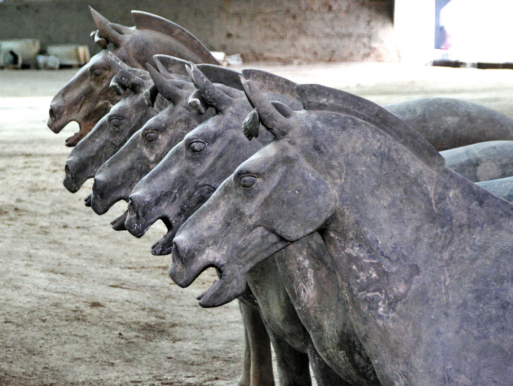 Pferde der Terrakottaarmee in Xi'an