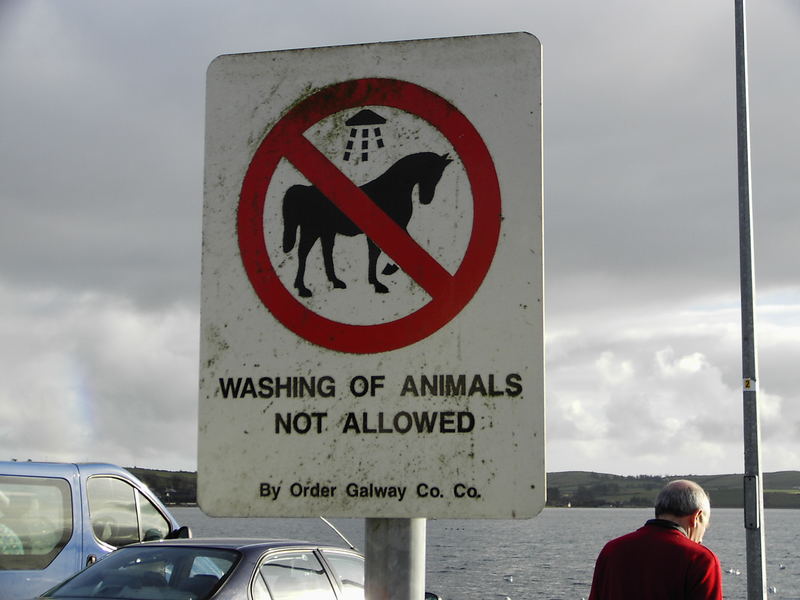 Pferde duschen verboten! Manche irische Verbotsschilder sind sehr lustig...