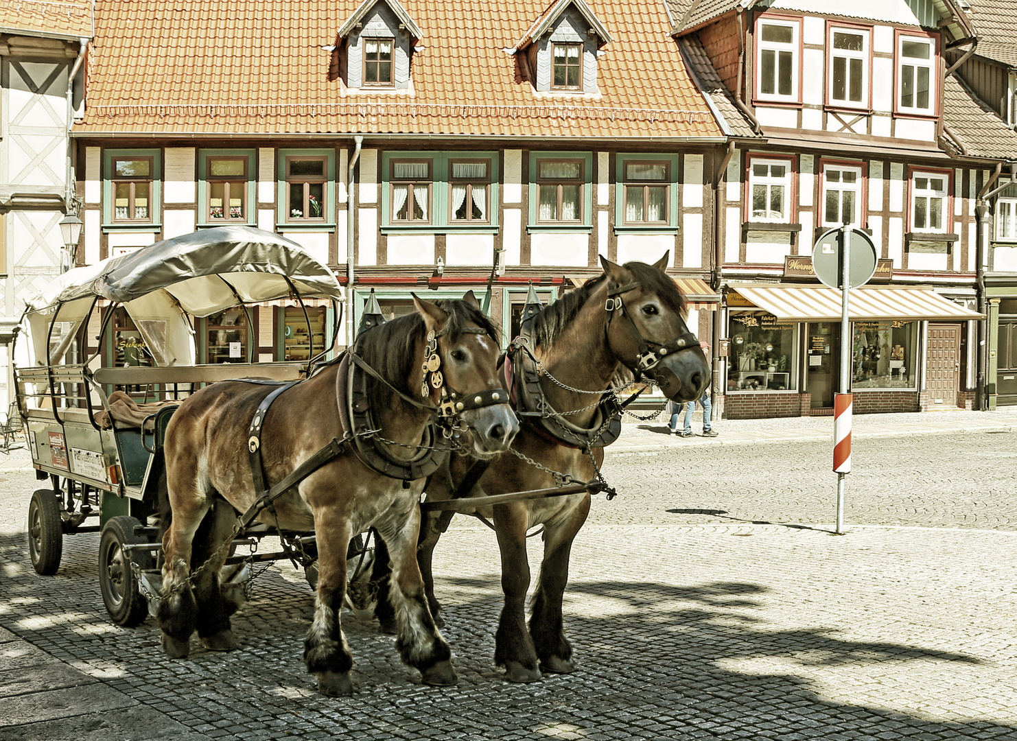 Pferde -Harz-  -2-