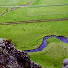 Pferde hinter Geysir