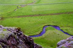 Pferde hinter Geysir