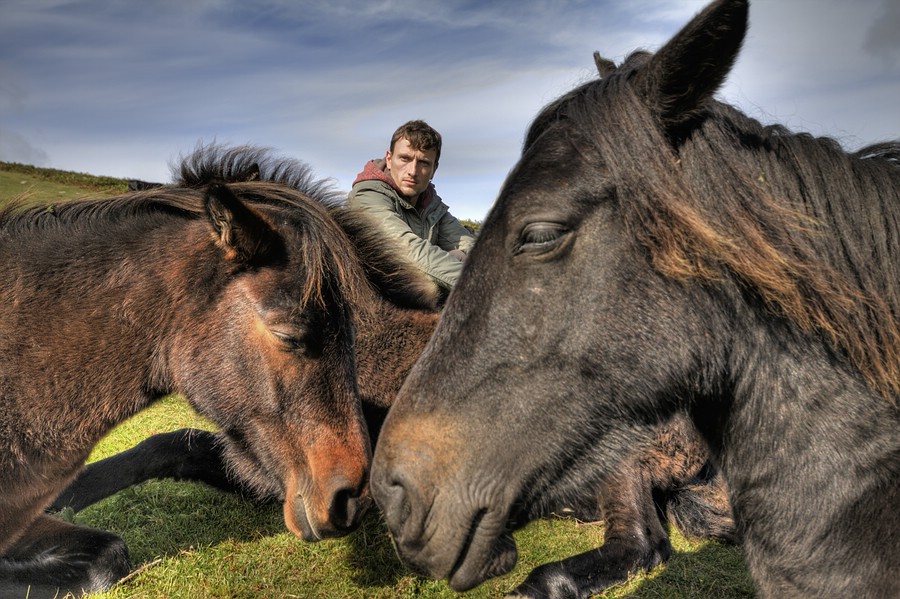 Pferde, ich und HDR