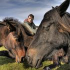 Pferde, ich und HDR