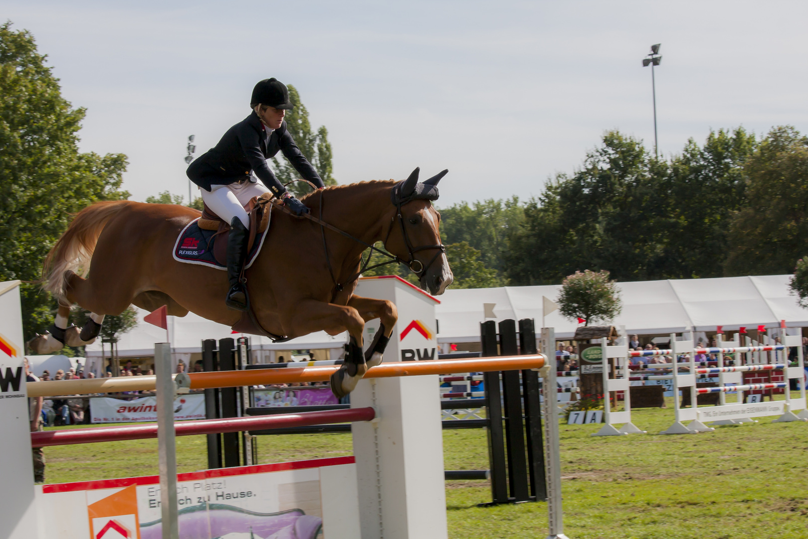 Pferde im Flug 2_Springr. Bietigheim