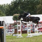 Pferde im Flug 4_Springr. Bietigheim