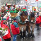 Pferde im Karneval