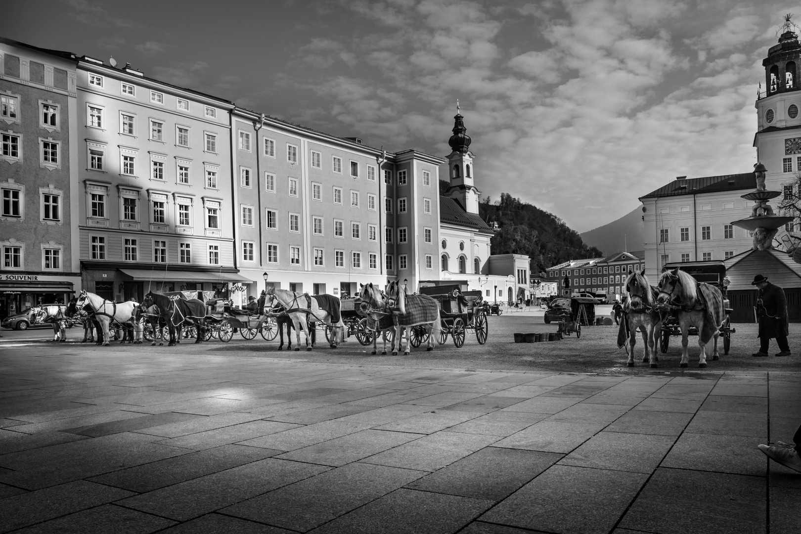 Pferde - Kutschen in Salzburg