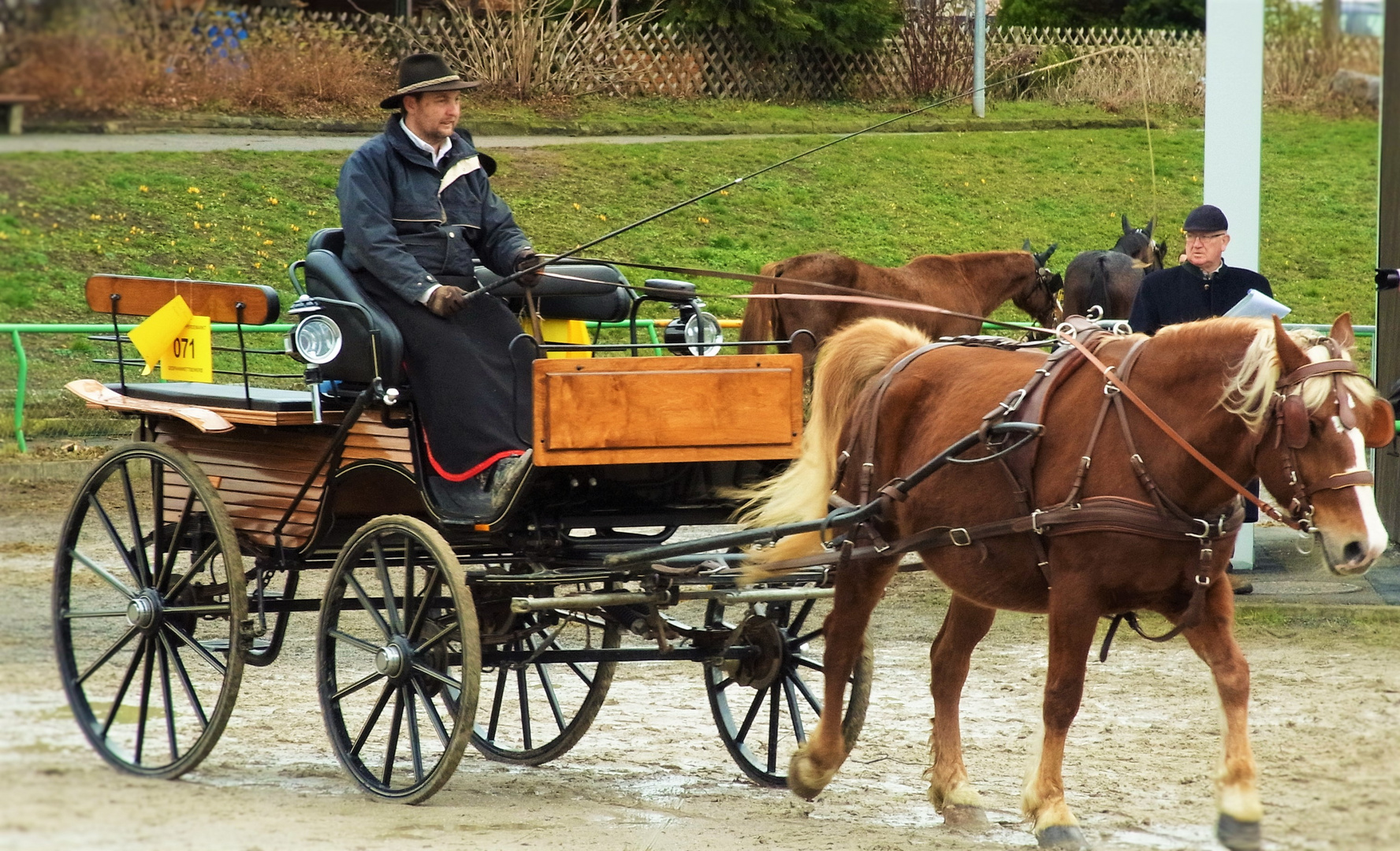 Pferde Markt Leonberg 2016 Gespanne