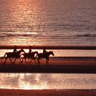 Pferde mit drei Reitern beim Sonnenuntergang