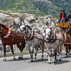 Pferde Post auf dem Gotthardpass 09 07.16.  