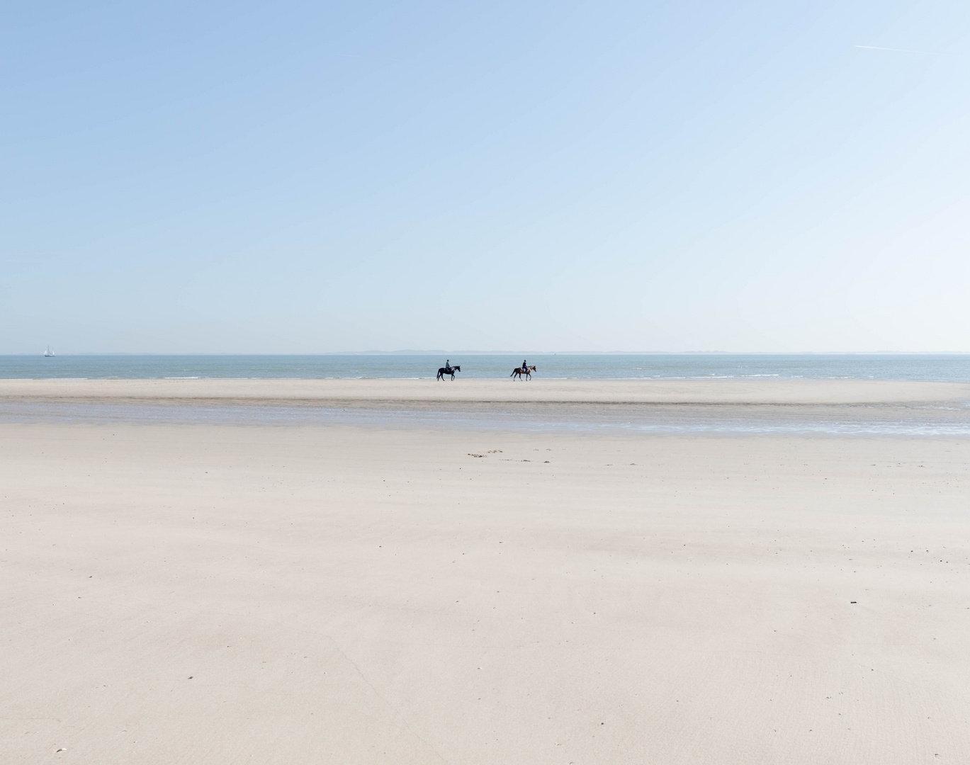 Pferde / Reiter am Strand Cadzand 