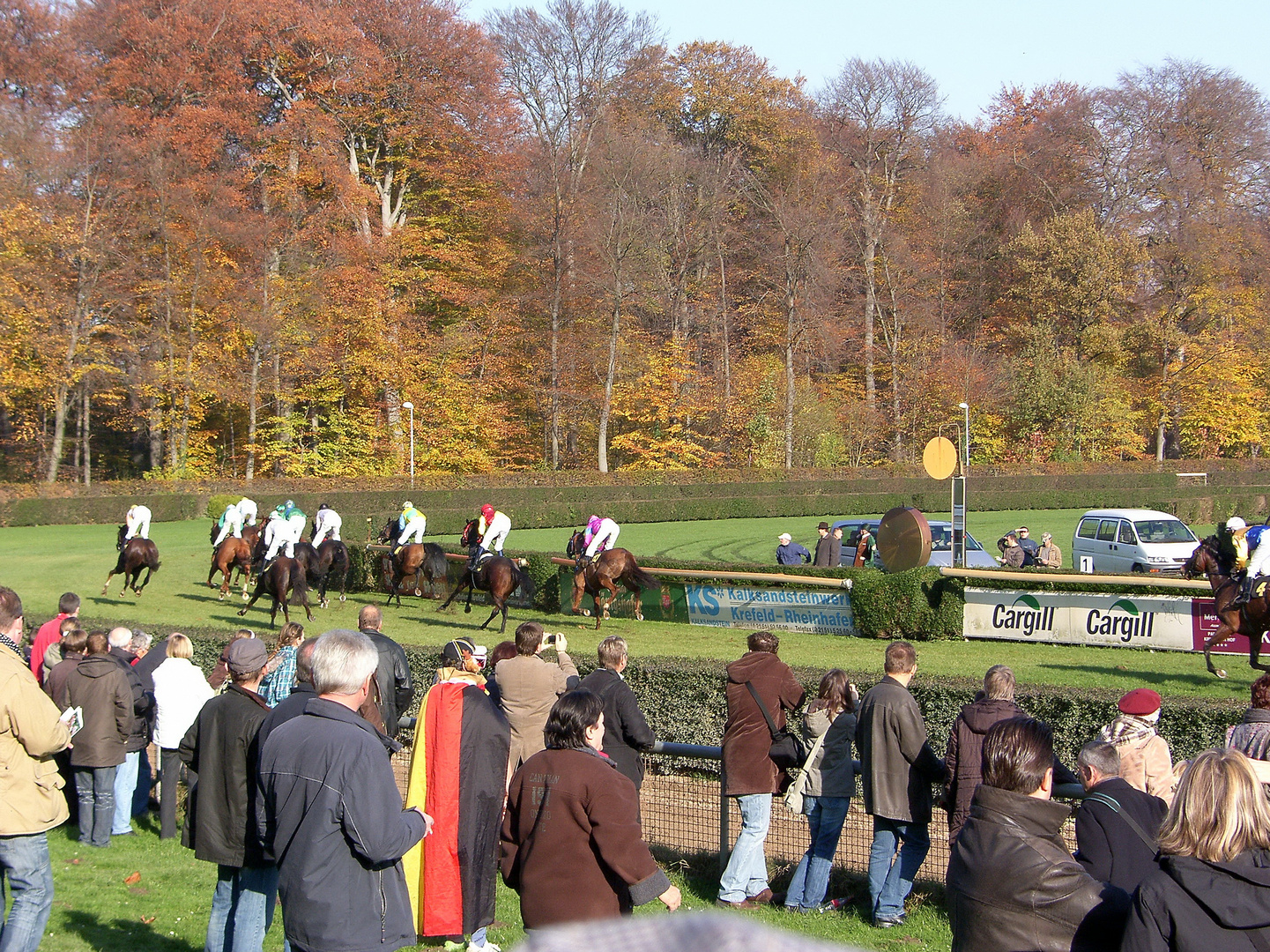 Pferde, Reiter, Zuschauer, Herbst