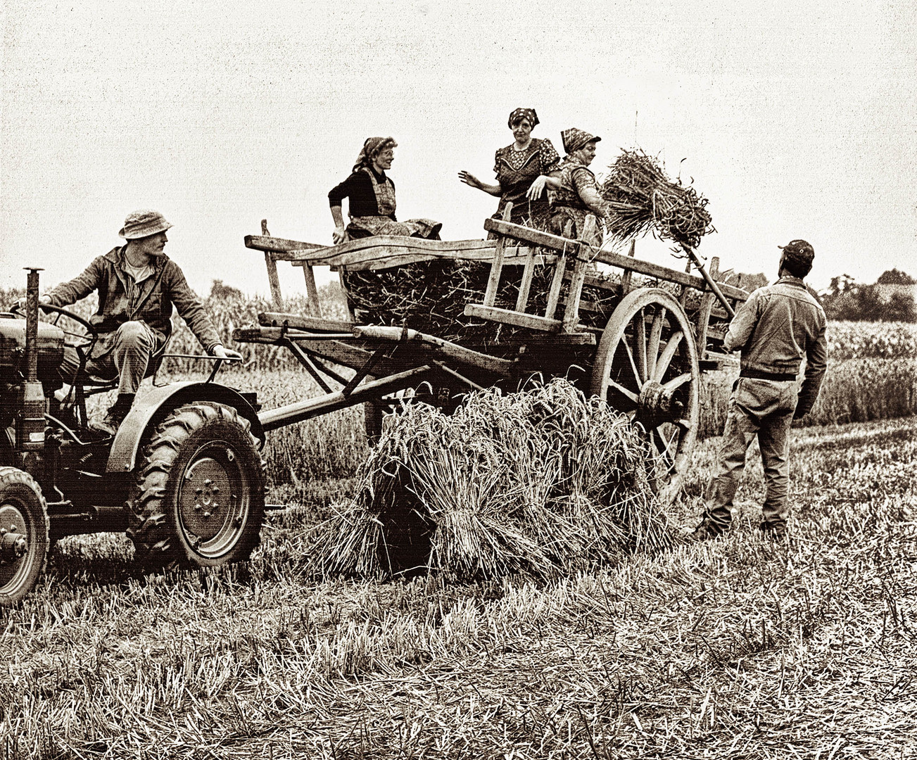 Pferde-Schlagkarre für Traktor umgebaut.