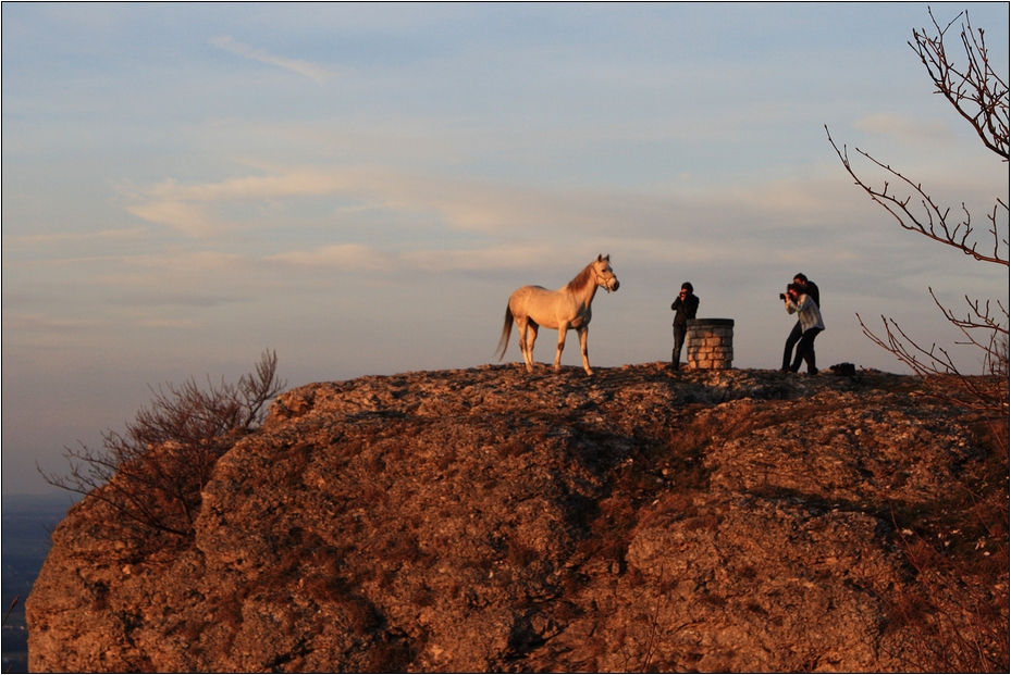 Pferde-Shooting am Breitenstein