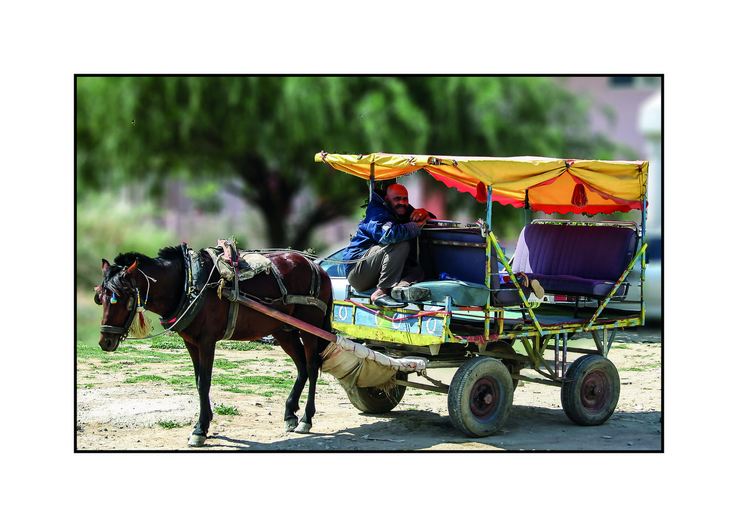 Pferde-Taxi am Markttag in Manavgat / Türkei