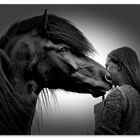 Pferde und Mädchen 