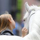 Pferde und Mädchen....