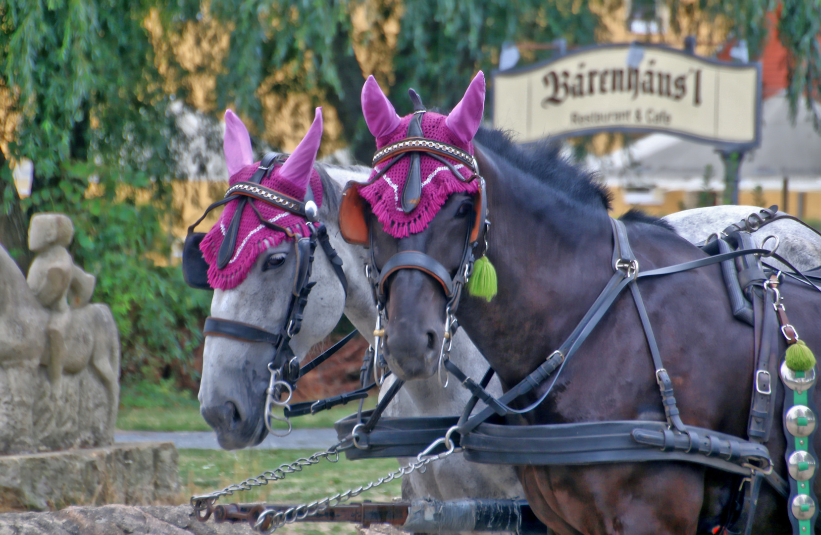 Pferde vor der Moritzburg