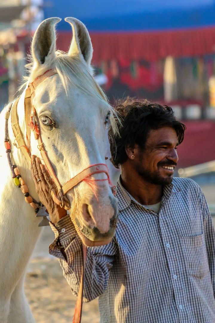 Pferdeauktion, Pushkar Camel Fair