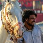 Pferdeauktion, Pushkar Camel Fair