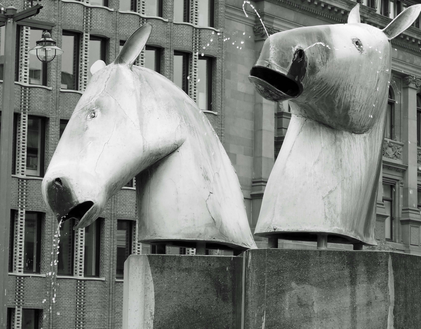 Pferdebrunnen Foto & Bild reportage dokumentation, spezial