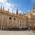 Pferdedroschken warten vor der Kathedrale von Sevilla