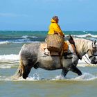 Pferdefischer von Oostduinkerke