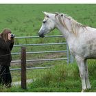 Pferdefotografie