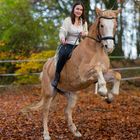 Pferdefotografie in der Natur 