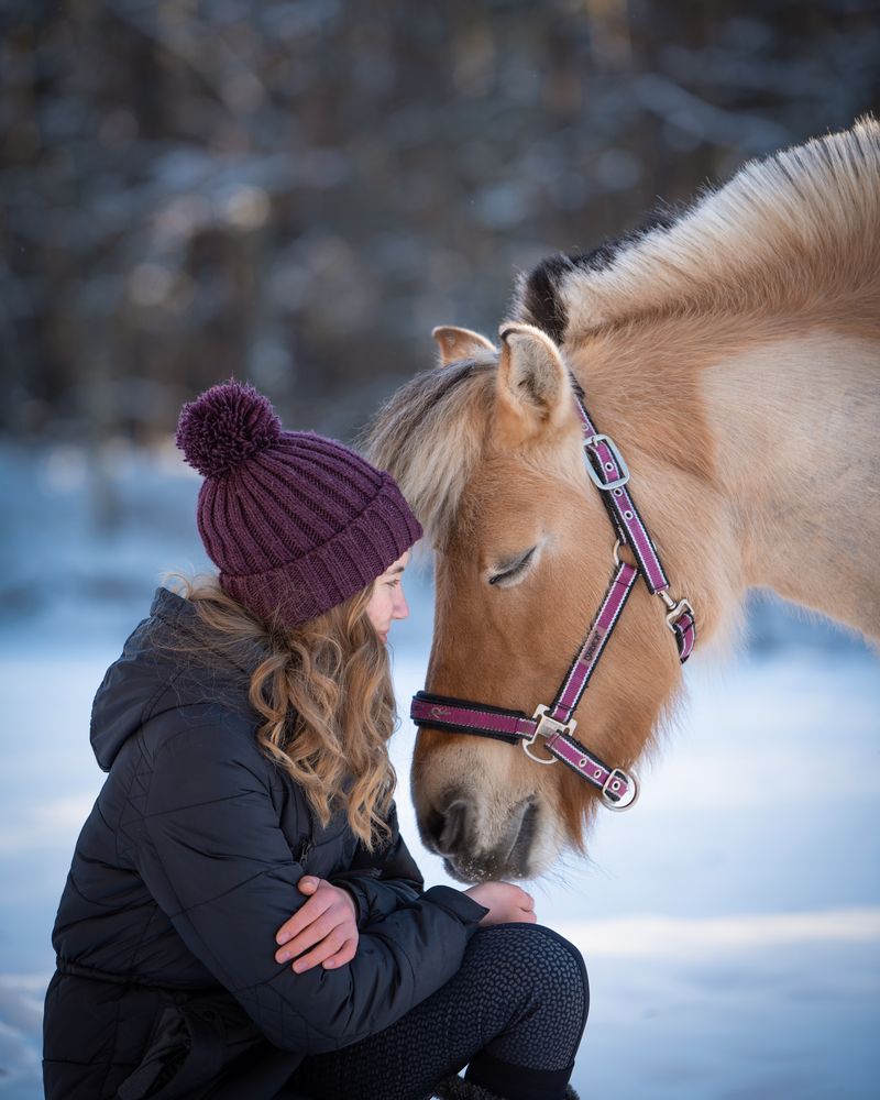 Pferdefotografie - Mensch & Pferd