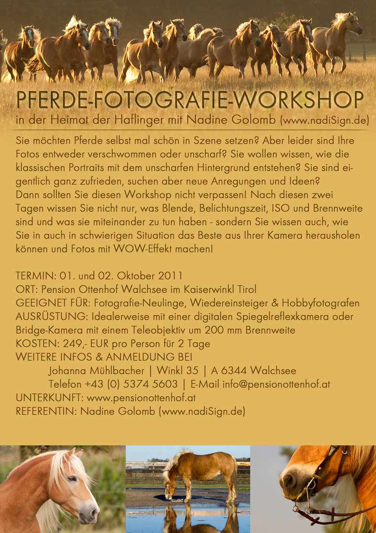 Pferdefotografie-Workshop in Tirol