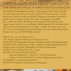 Pferdefotografie-Workshop in Tirol