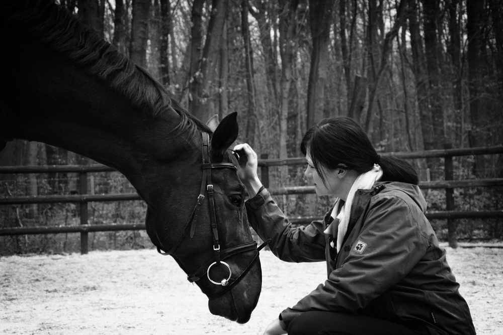 Pferdefreundschaft