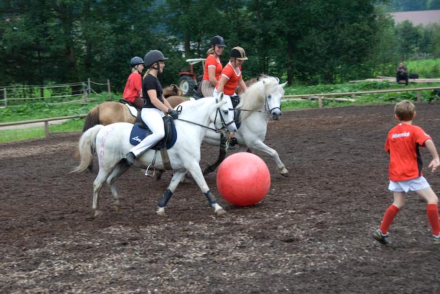 Pferdefussball