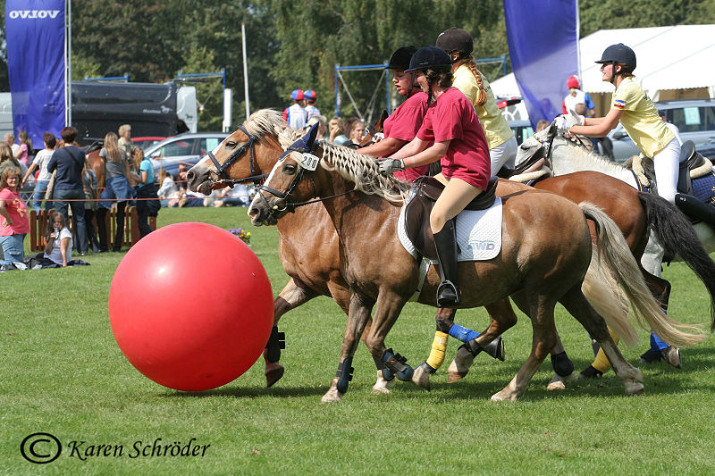 Pferdefußball! Foto & Bild sport, sport mit tieren, motive Bilder auf