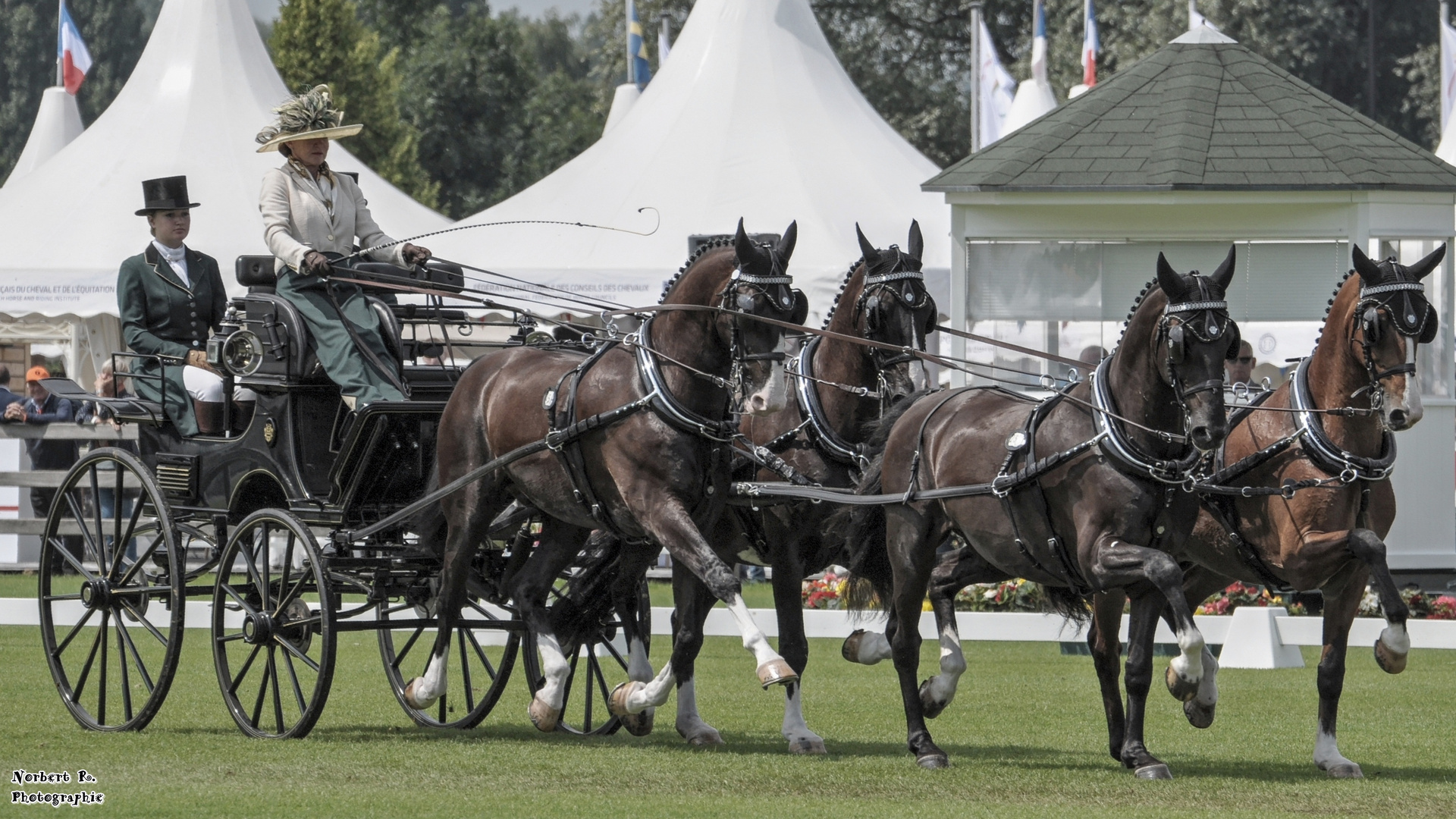 Pferdegespann Foto & Bild | sport, dokumentation, outdoor Bilder auf