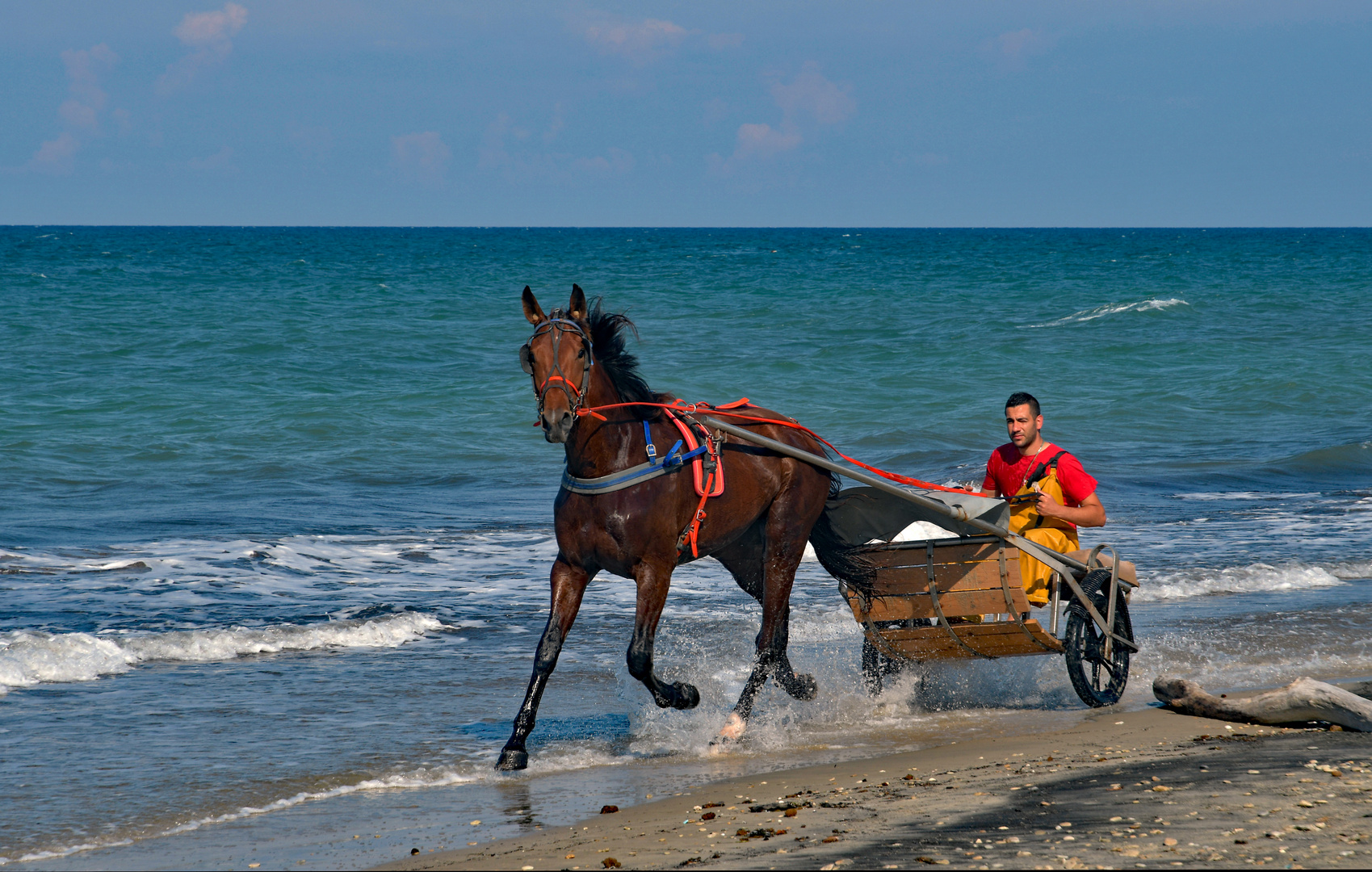 Pferdegespann am Strand