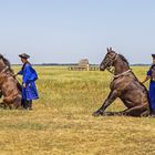 Pferdehirten in der Puszta