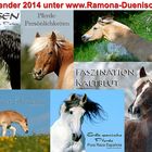 Pferdekalender 2014