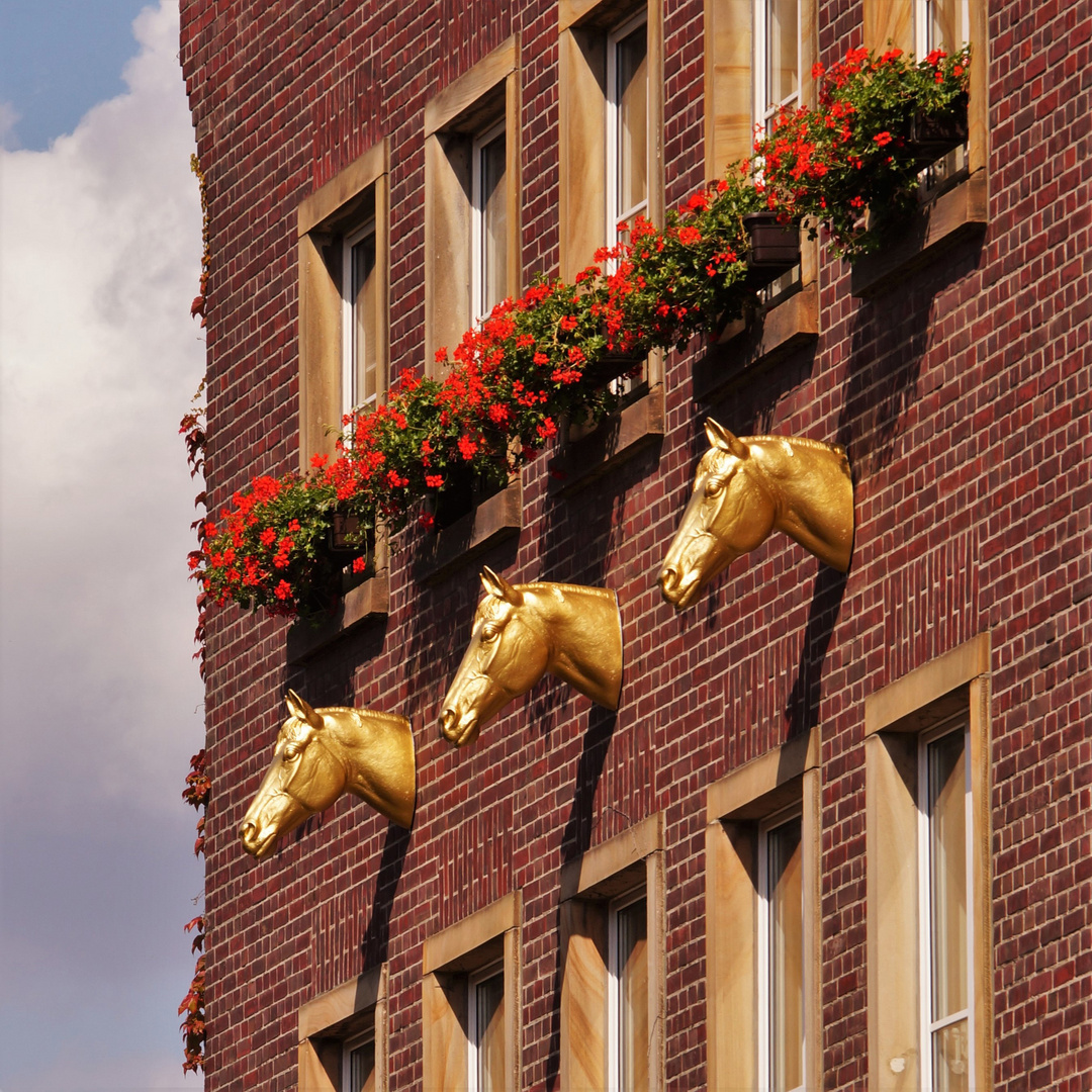 Pferdeköpfe am Rathaus von Dülmen