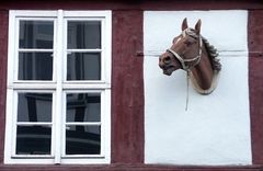 Pferdekopf eingemauert