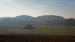 Pferdekoppel am Morgen