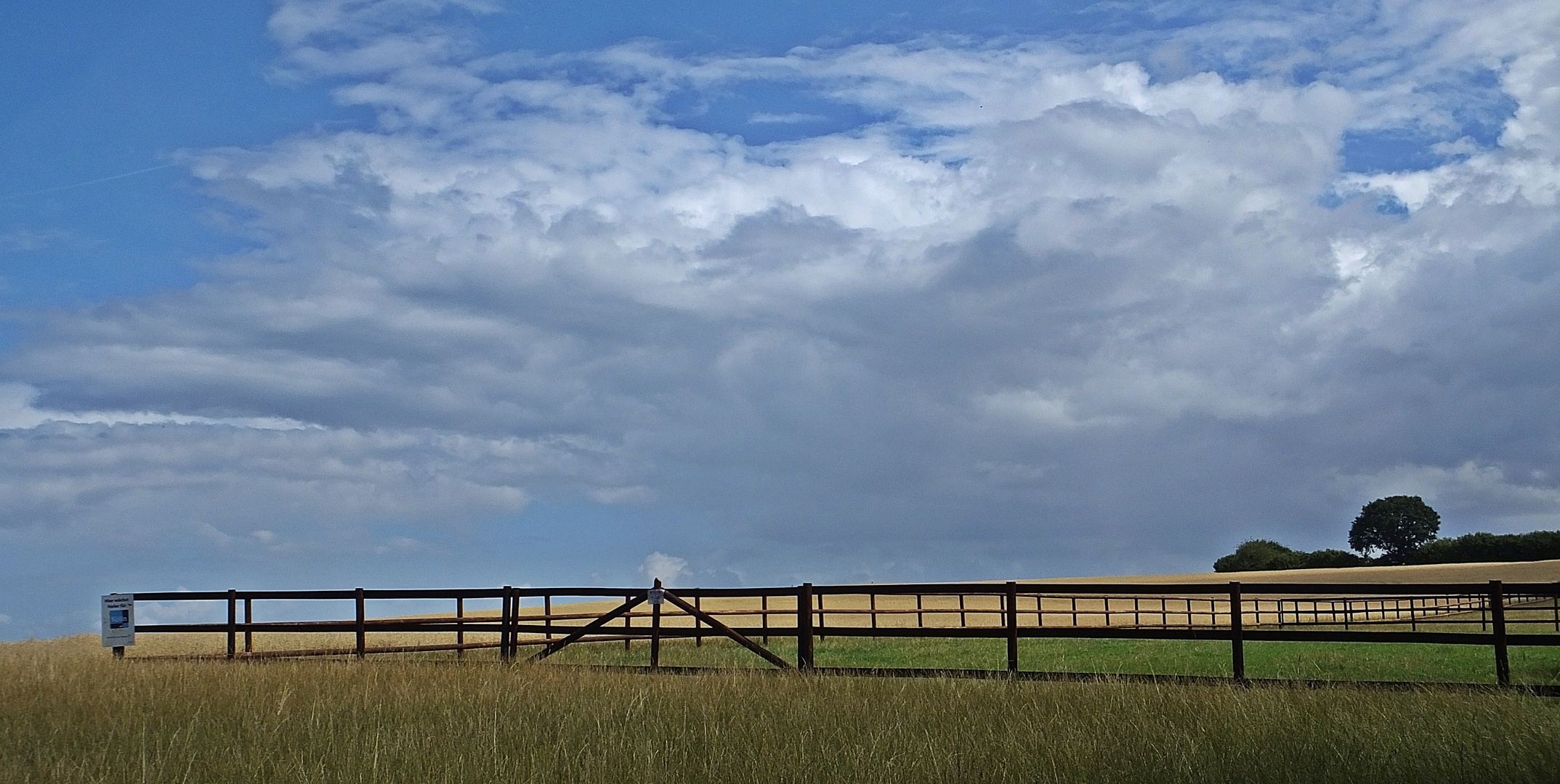 Pferdekoppel bei Schloß Panker (Horse paddock at Panker Castle)