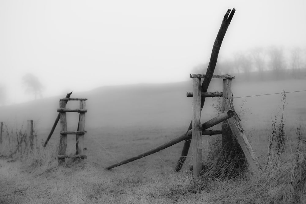 Pferdekoppel im Nebel