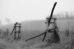 Pferdekoppel im Nebel