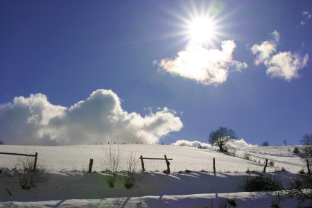 Pferdekoppel im Schnee