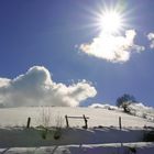 Pferdekoppel im Schnee