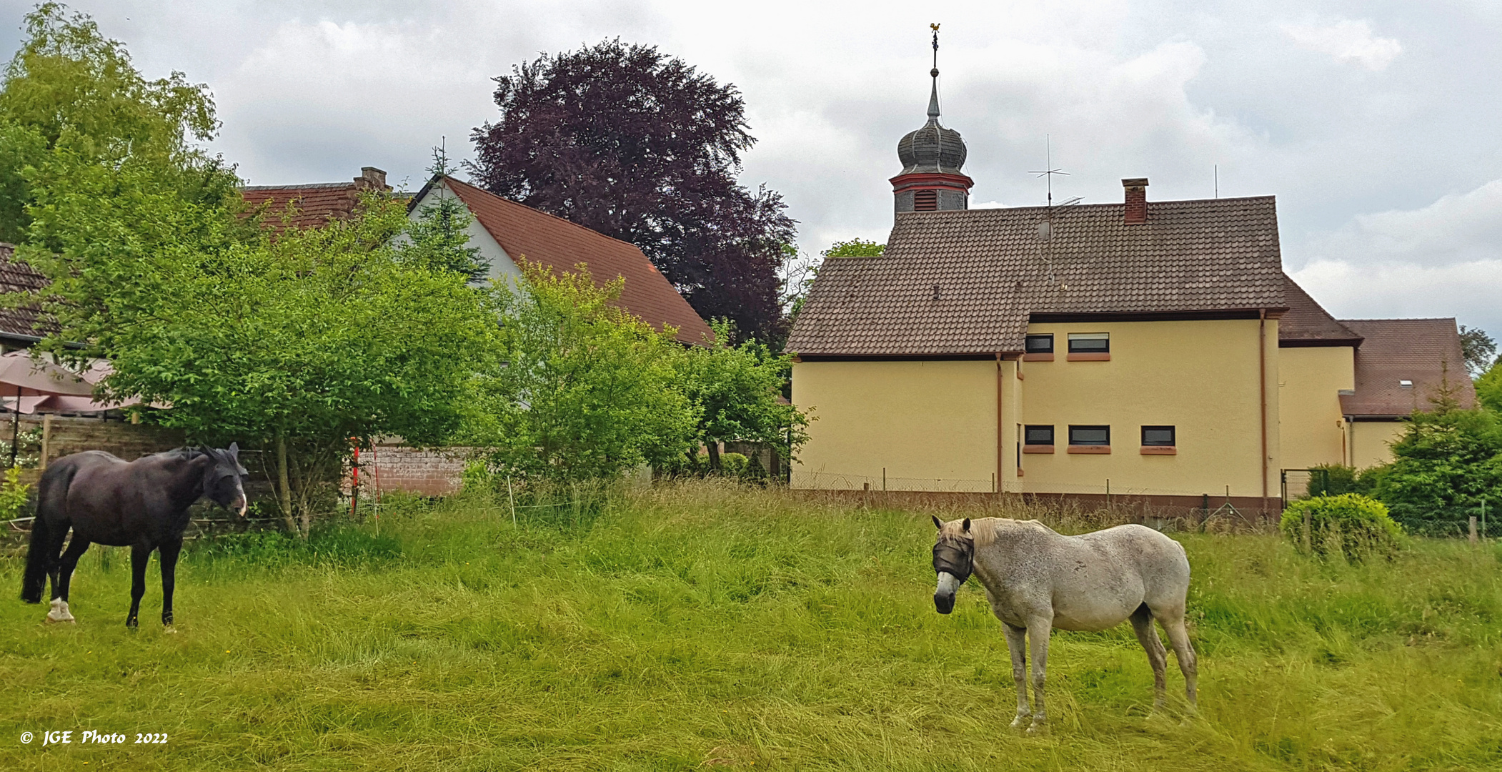 Pferdekoppel in Trippstadt